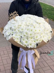 59 білих хризантем