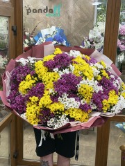 59 chrysanthemums mix