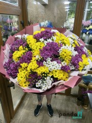 59 chrysanthemums mix