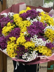 59 chrysanthemums mix