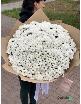 61 chrysanthemums
