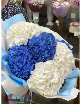7 гортензий микс