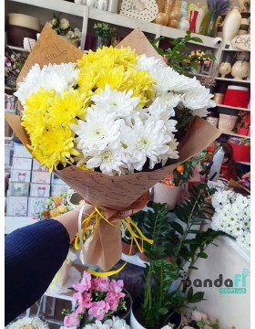 7 chrysanthemums mix