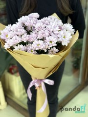 7 рожевих хризантем