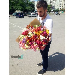 75 альстромерій