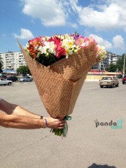 75 альстромерій