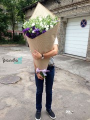 75 еустом