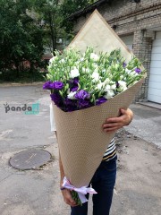 75 еустом