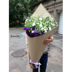 75 еустом