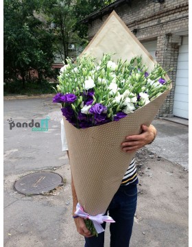 75 еустом