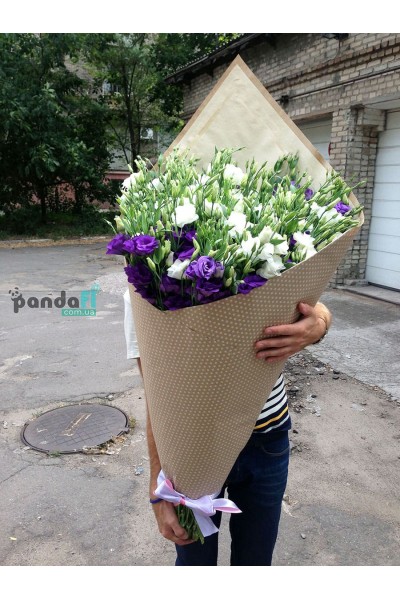 75 еустом
