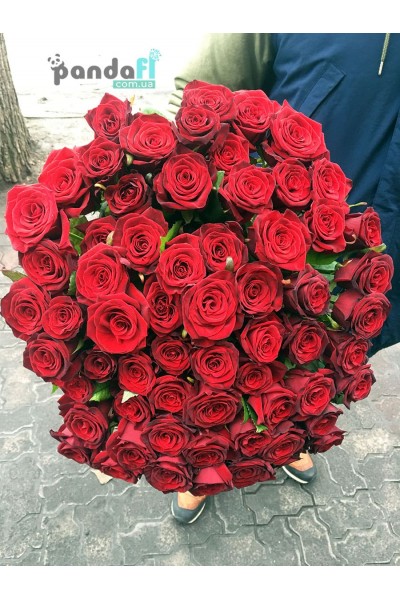 75 червоних троянд 80 см