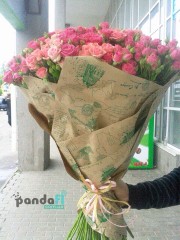 75 кущових троянд 80 см
