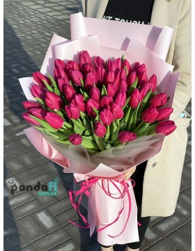 75 crimson tulips