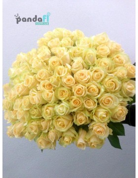 75 кремовых роз 60 см