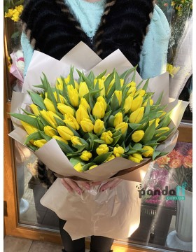 75 yellow tulips