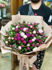 77 peonies