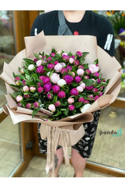 77 peonies