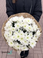 9 білих хризантем