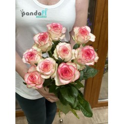 9 бело-розовых роз
