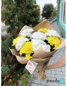 9 chrysanthemums mix #4