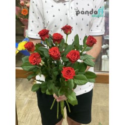 9 красных роз Эль торо