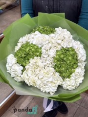 12 білих гортензій + 3 зелені гортензії