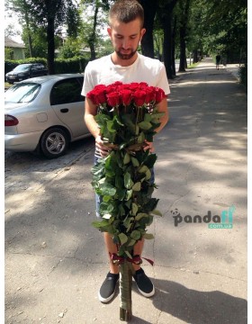 Роза 130 см