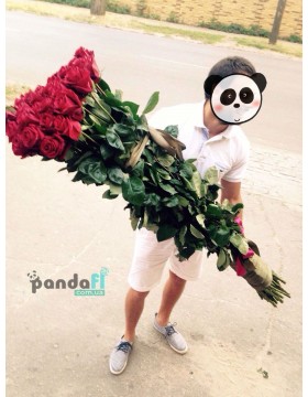 Rose 170 cm