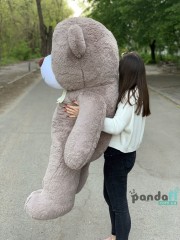 Ведмедик 200 см попелястий
