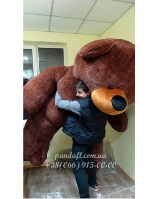Ведмедик 300 см коричневий
