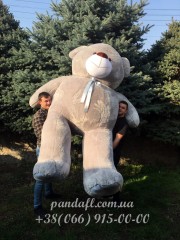 Ведмедик 300 см сірий