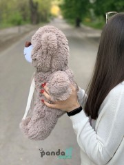 Ведмедик 50 см попелястий