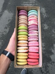 20 macaroons