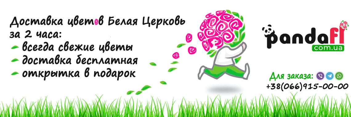 Доставка цветов Белая Церковь PandaFL
