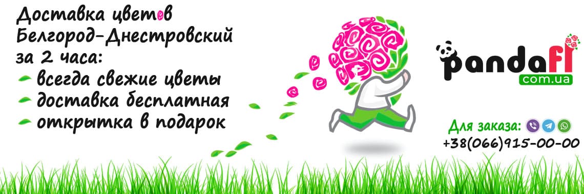 Доставка цветов Белгород - Днестровский PandaFL