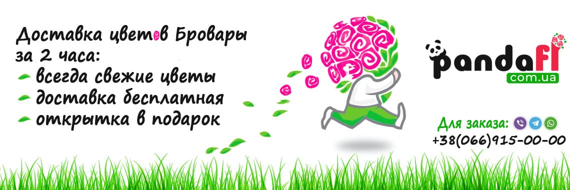 Доставка цветов Бровары PandaFL