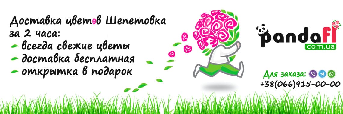 Доставка цветов Шепетовка PandaFL