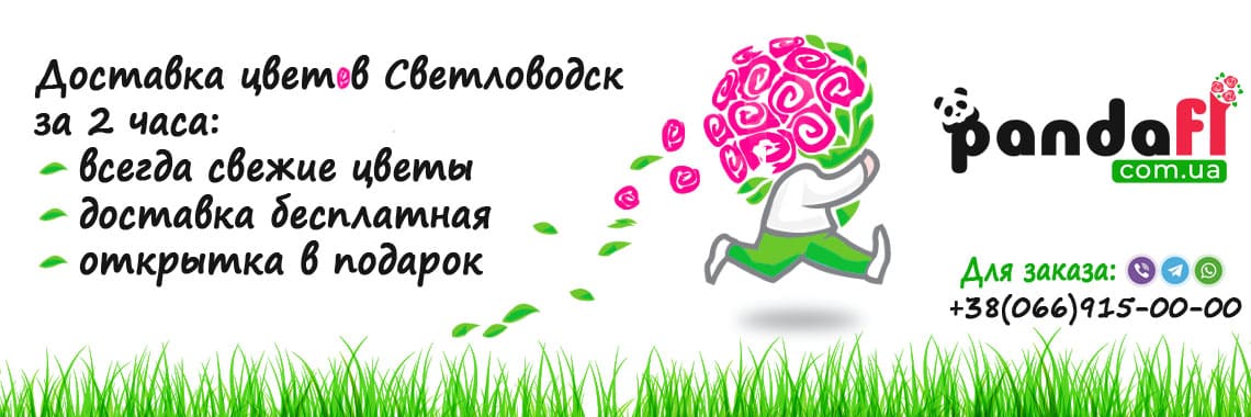 Доставка цветов Светловодск PandaFL
