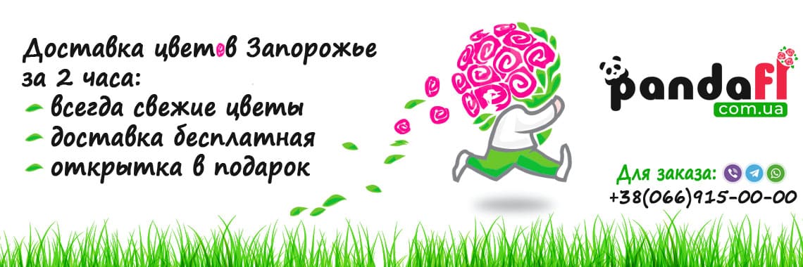 Доставка цветов Запорожье PandaFL